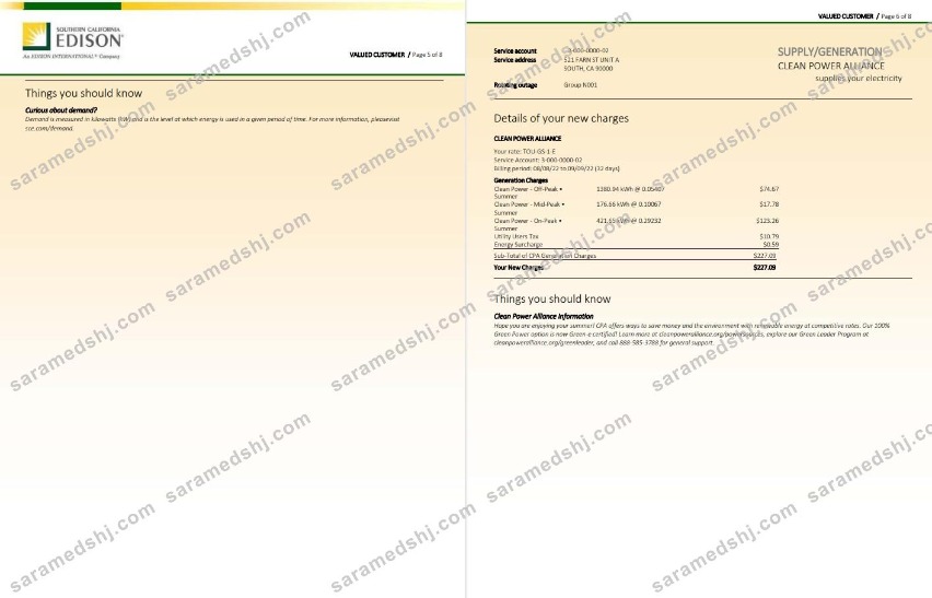 USA Southern California EDISON utility bill, Word and PDF template, 8 pages 5 6